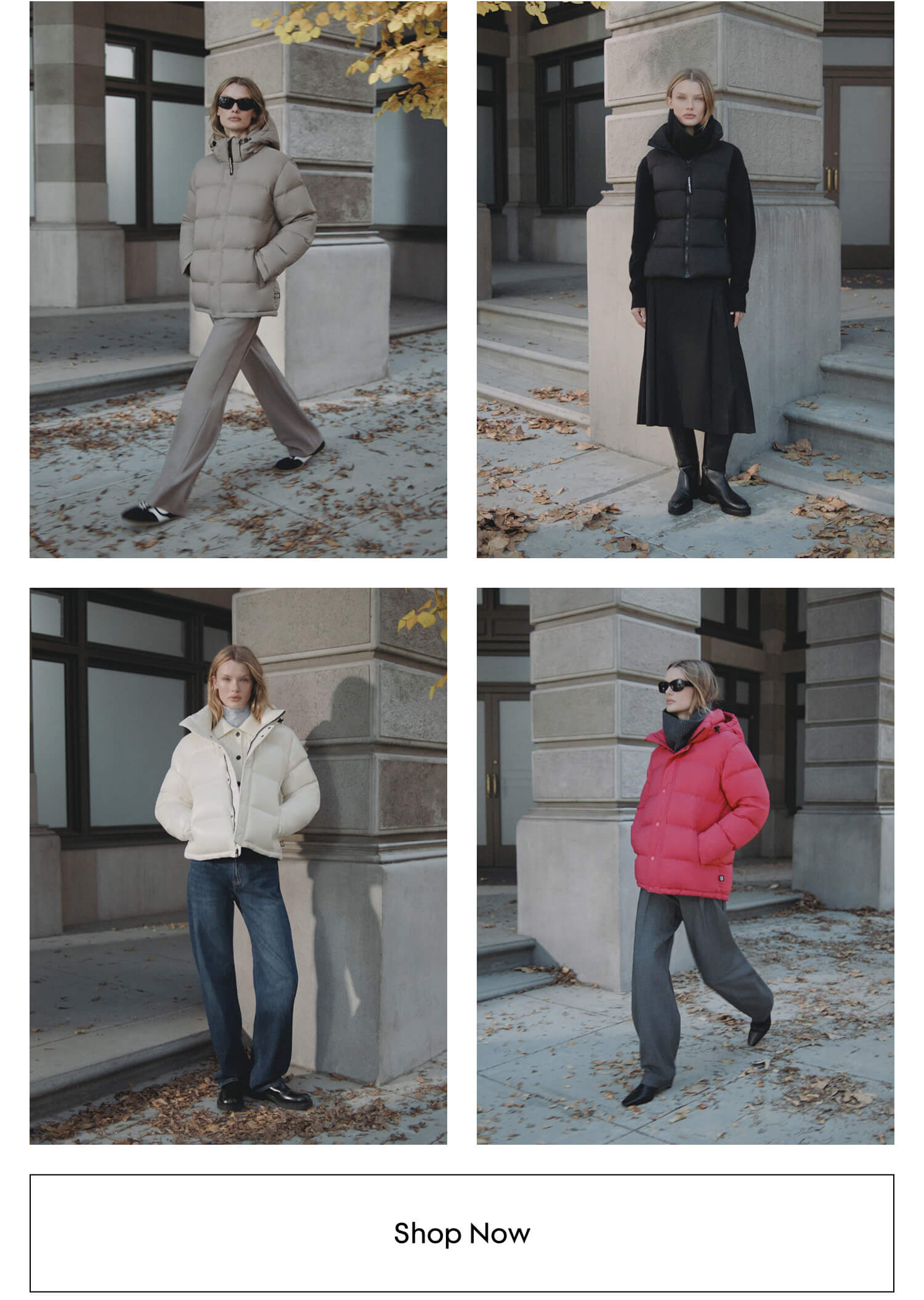 SHOP NOW