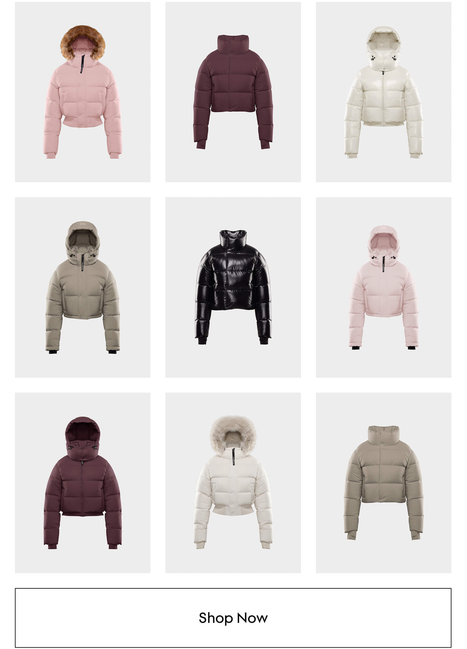 SHOP NOW