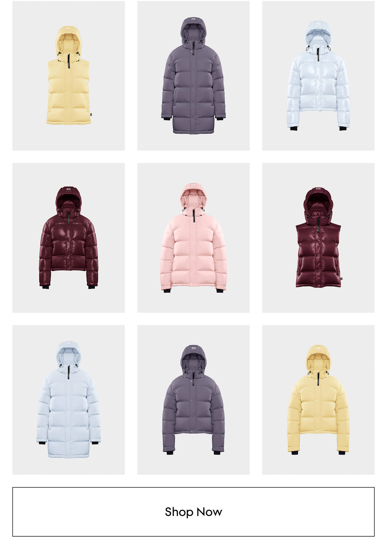 SHOP NOW
