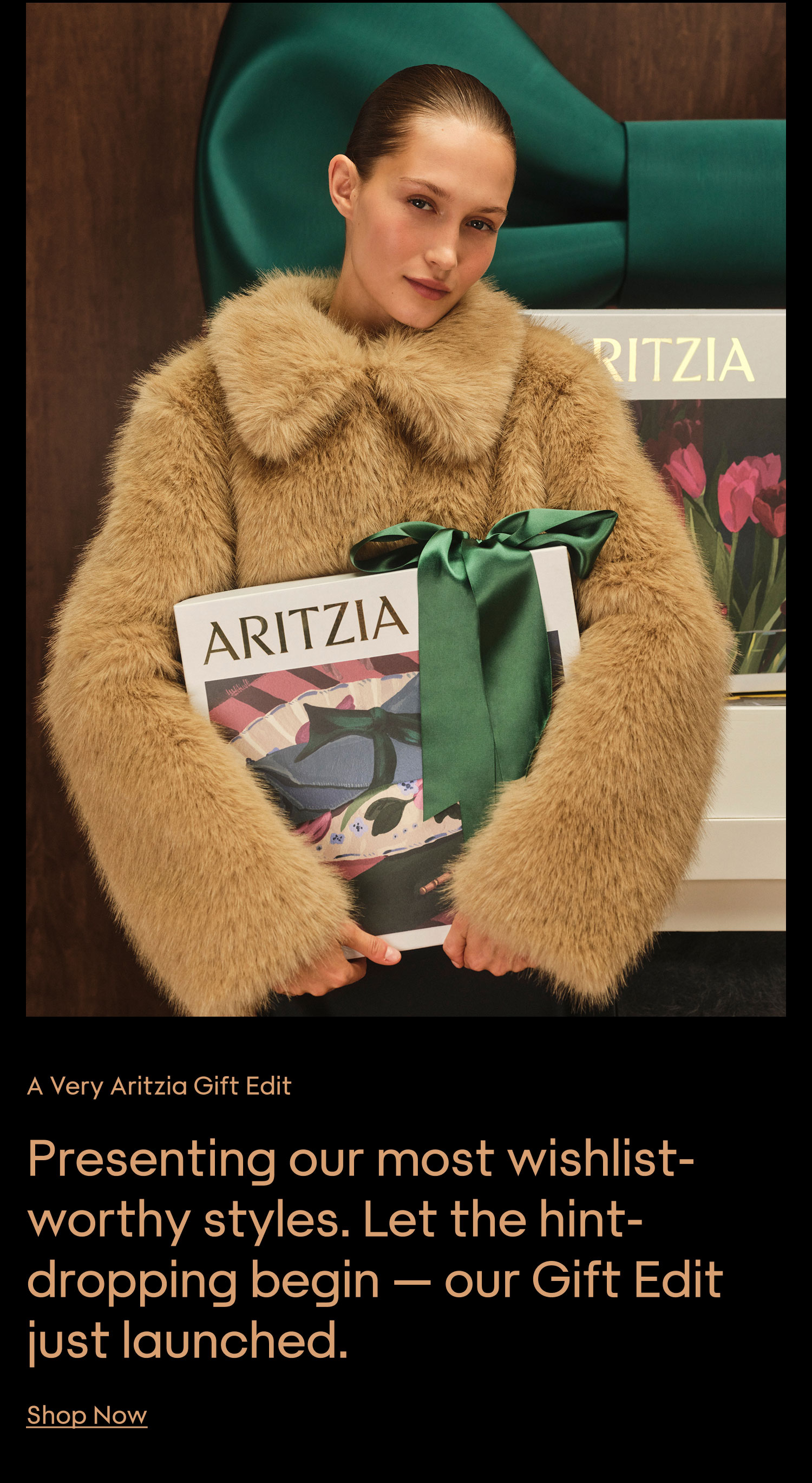 SHOP NOW