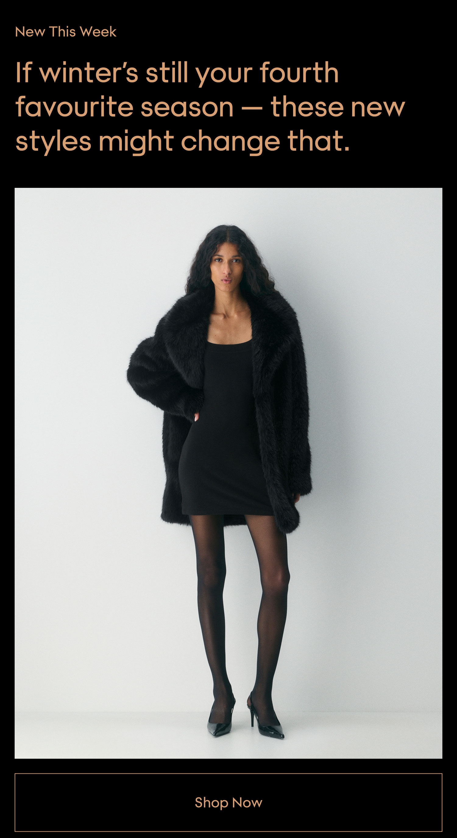 SHOP NOW
