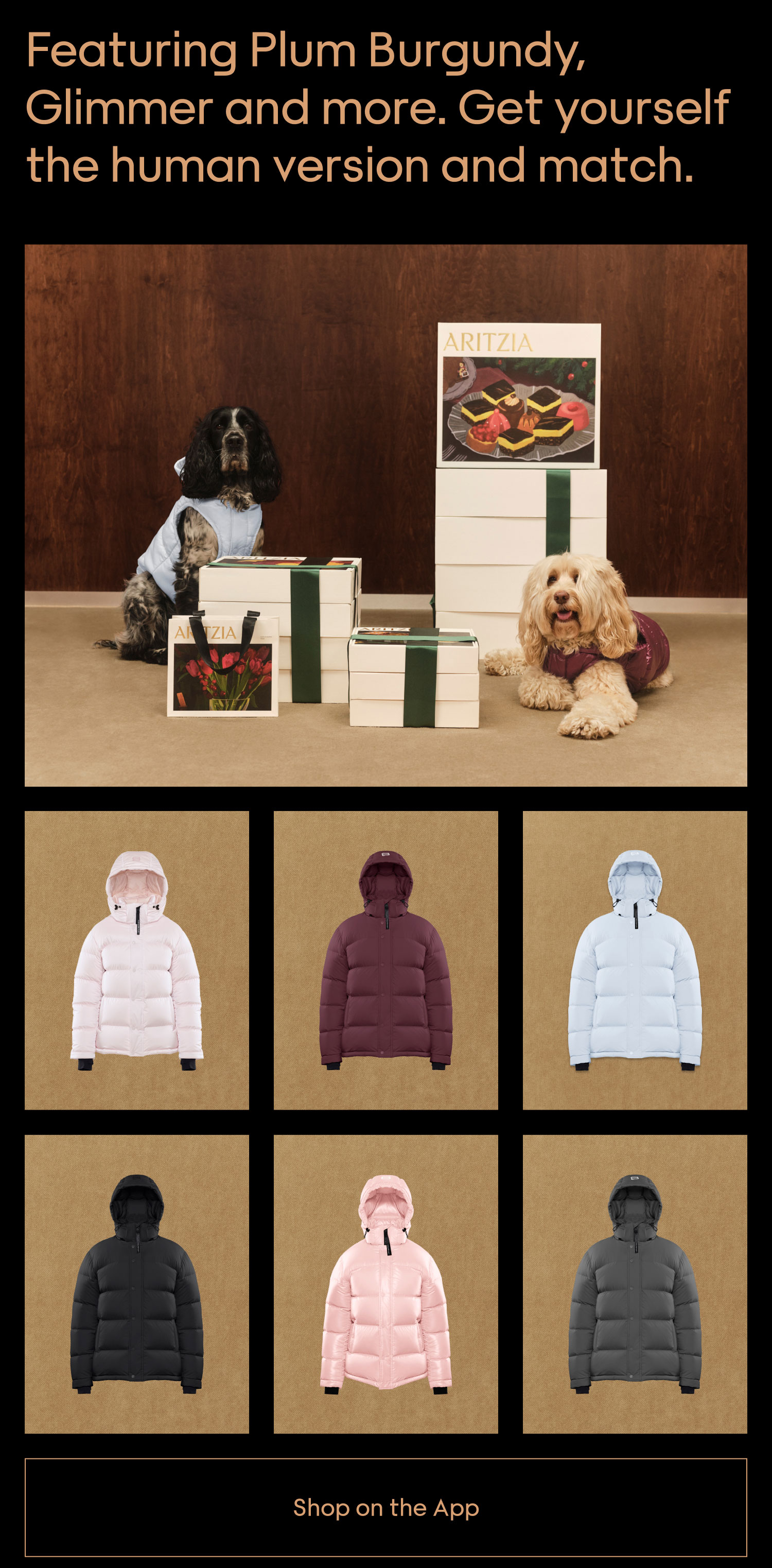 SHOP NOW