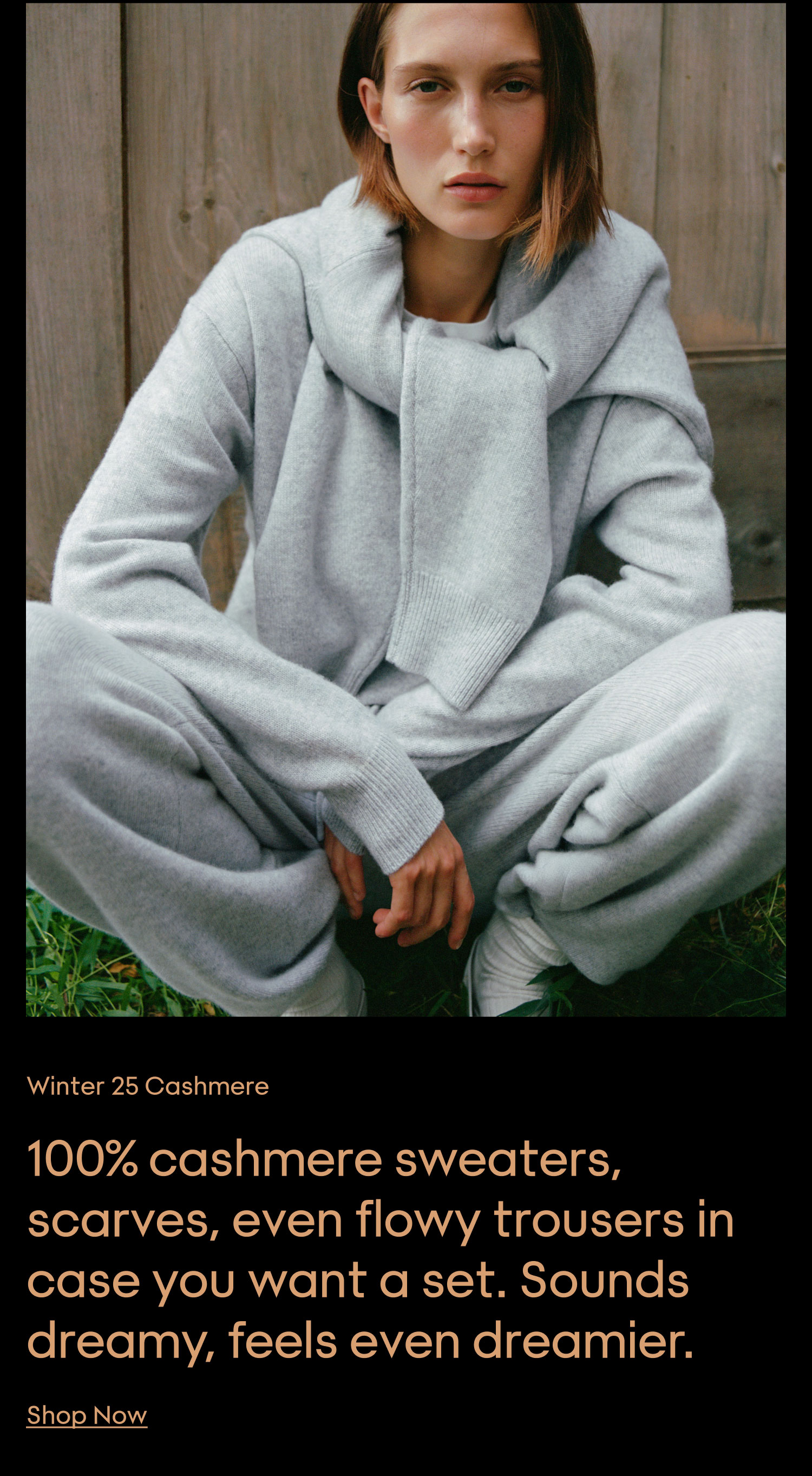 SHOP NOW