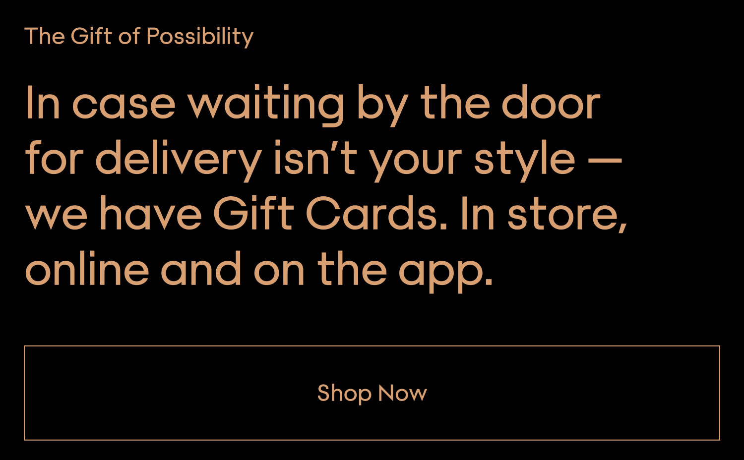 GIFT OF POSSIBILITY