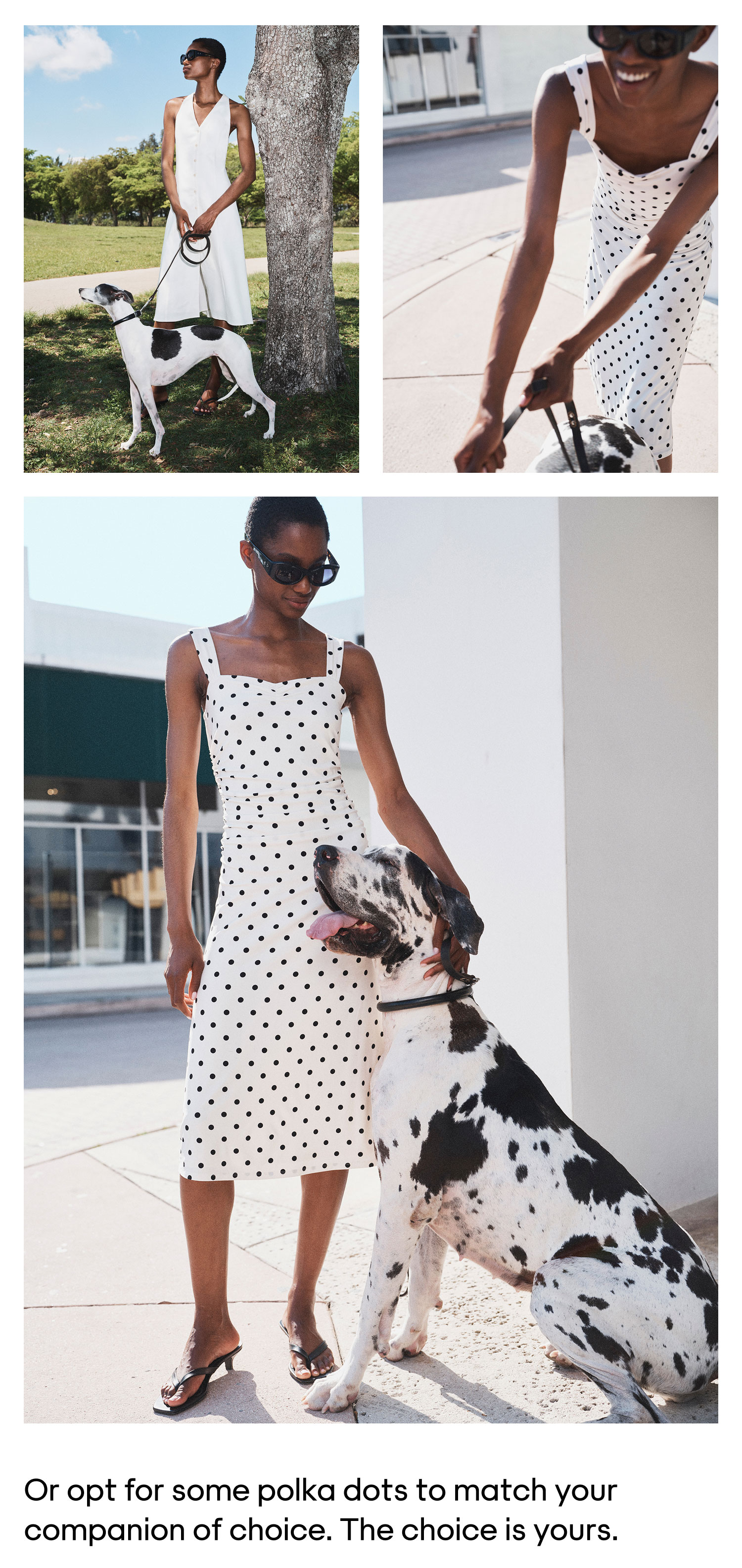 POLKA DOTS