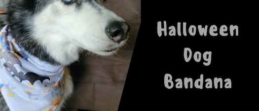 Artesprix Halloween Dog Bandana 