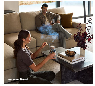 Larce sectional