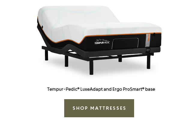 Tempur-Pedic LuxeAdapt and Ergo ProSmart base