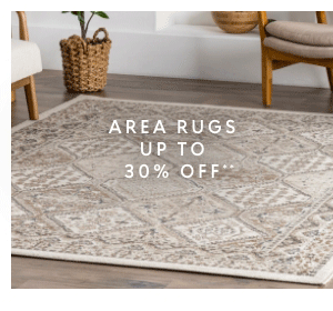 Area rugs 30% off**