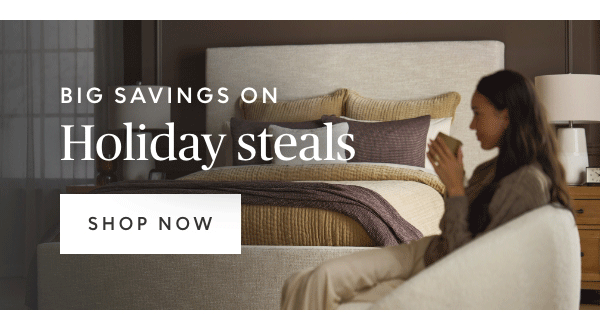 Big savings on holiday steals