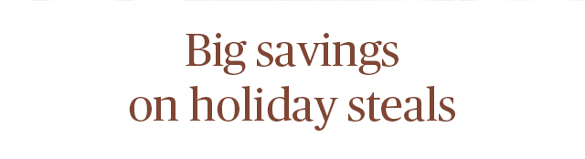 Big Savings on holiday steals