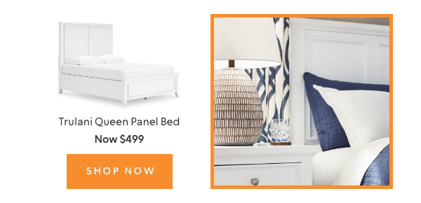 Trulani Queen Panel Bed