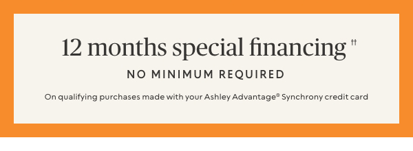 12 months special financing 