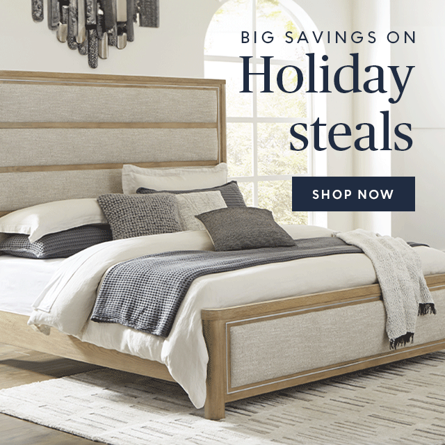 Big savings on holiday steals
