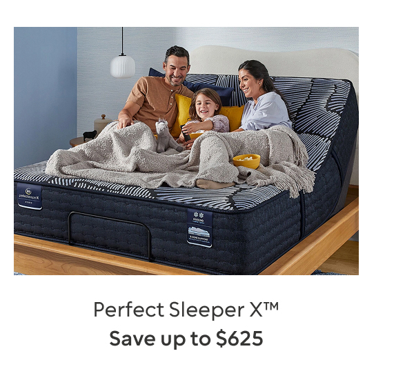 Perfect Sleeper X