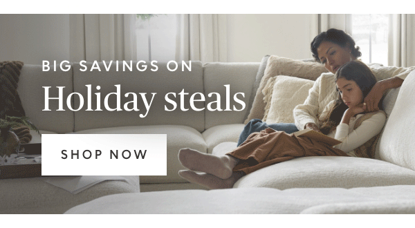 Big savings on holiday steals