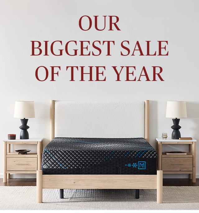 Our biggest sale of the year
