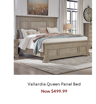 Vallardia Queen Panel Bed
