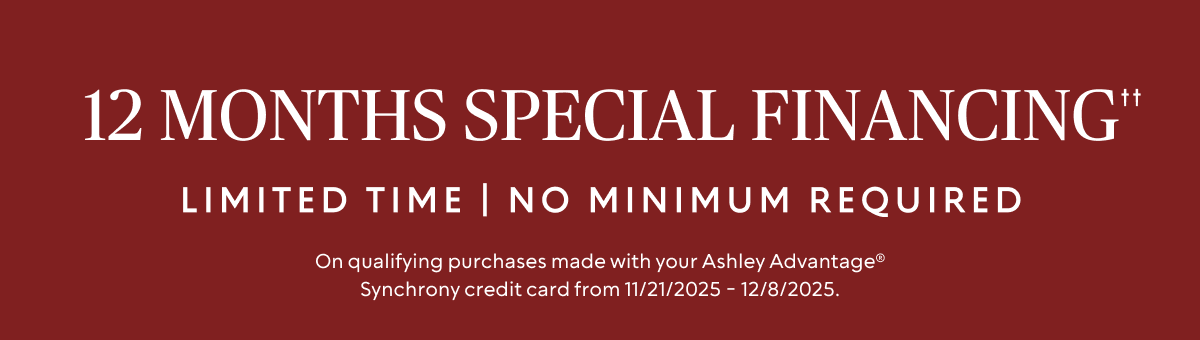 12 months special financing