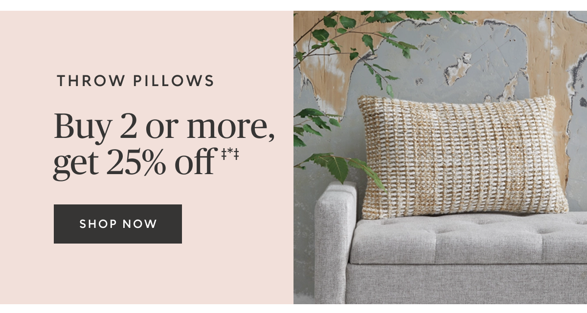 Buy 2 or more throw pillows, save 25% off