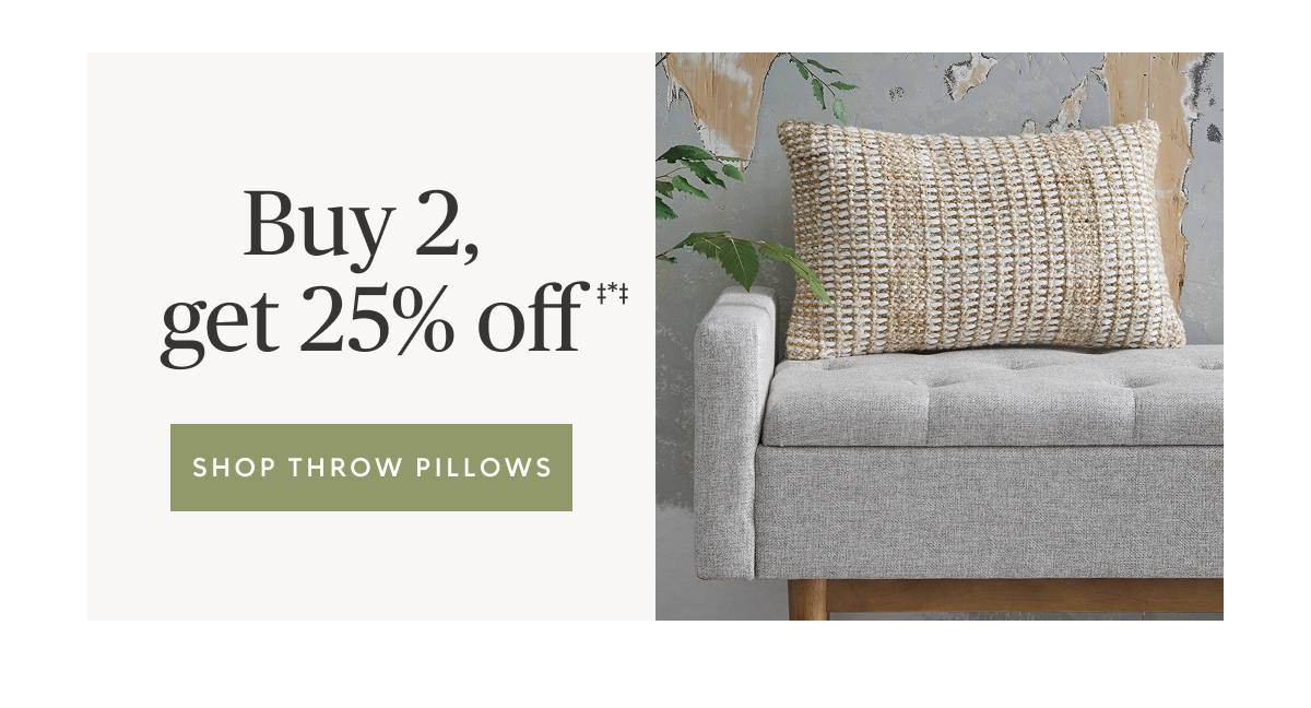 Buy 2 or more throw pillows, save 25% off