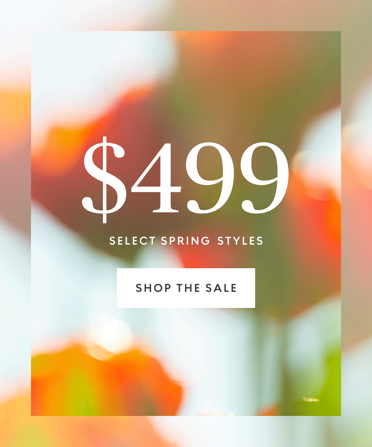 Shop The Sale
