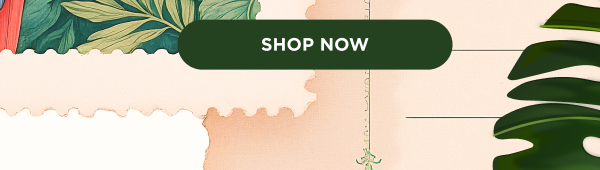 Trending: Tube Tops. Shop now