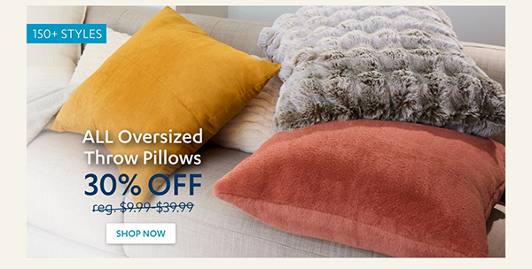 30% Off ALL Oversized Throw Pillows | Shop Now >