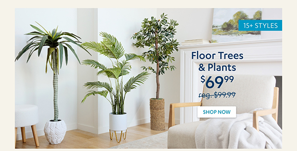 $69.99 Floor Trees & Plants | Shop Now >