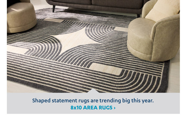 8 x 10 Area Rugs