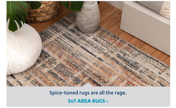 Shop 5 x 7 Area Rugs