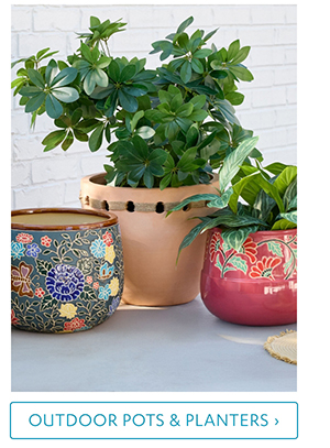 Outdoor Pots & Planters >