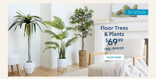 Floor Trees & Plants - Insider Perks Price - Shop Now 