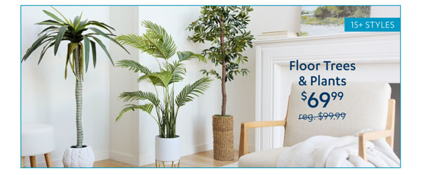 Floor Trees & Plants - Insider Perks Price - Shop Now 