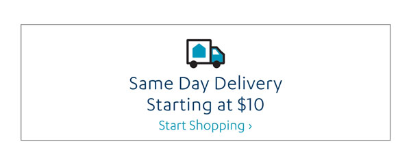 Same Day Delivery starting at $10 - Start Shopping