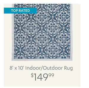 8' x 10' Indoor/Outdoor Rug