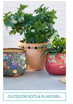 Outdoor Pots & Planters >