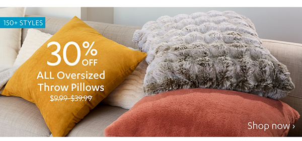 30% Off ALL Oversized Throw Pillows | Shop Now >