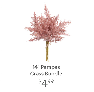 14" Pampas Grass Bundle