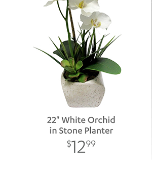 22" White Orchid in Stone Planter