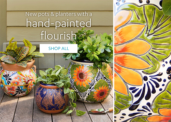 New pots & planters with a hand-painted flourish | Shop All >