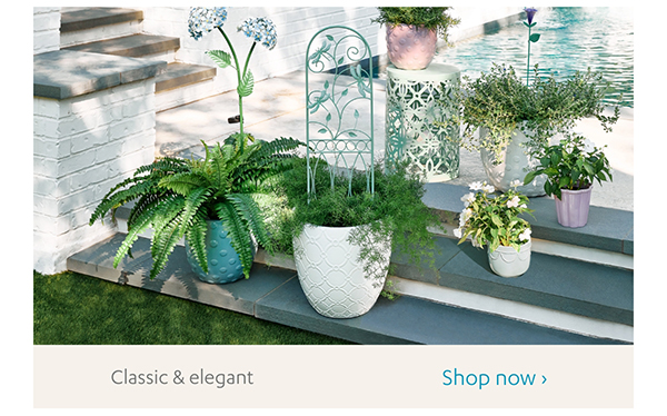 Classic & elegant | Shop Now >