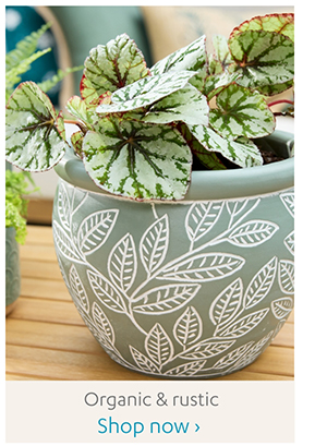 Organic & rustic | Shop Now >