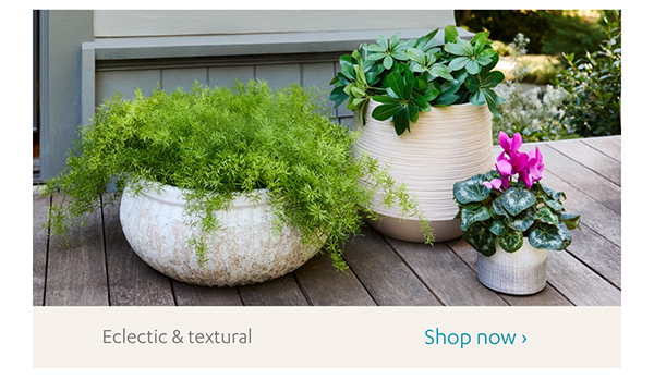 Eclectic & textural | Shop Now >