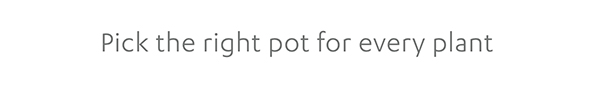 Pick the right pot for every plant
