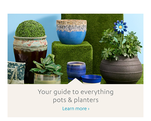 Your guide to everything pots & planters | Learn More >