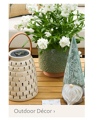 Outdoor Décor >