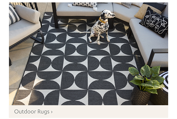 Outdoor Rugs >