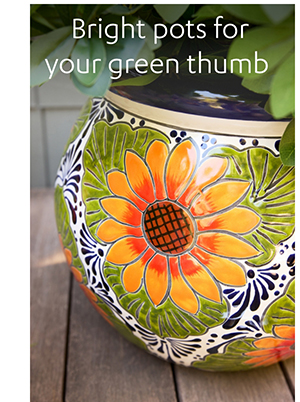 Bright pots for your green thumb