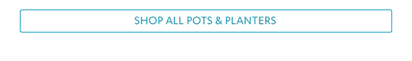 Shop All Pots & Planters >